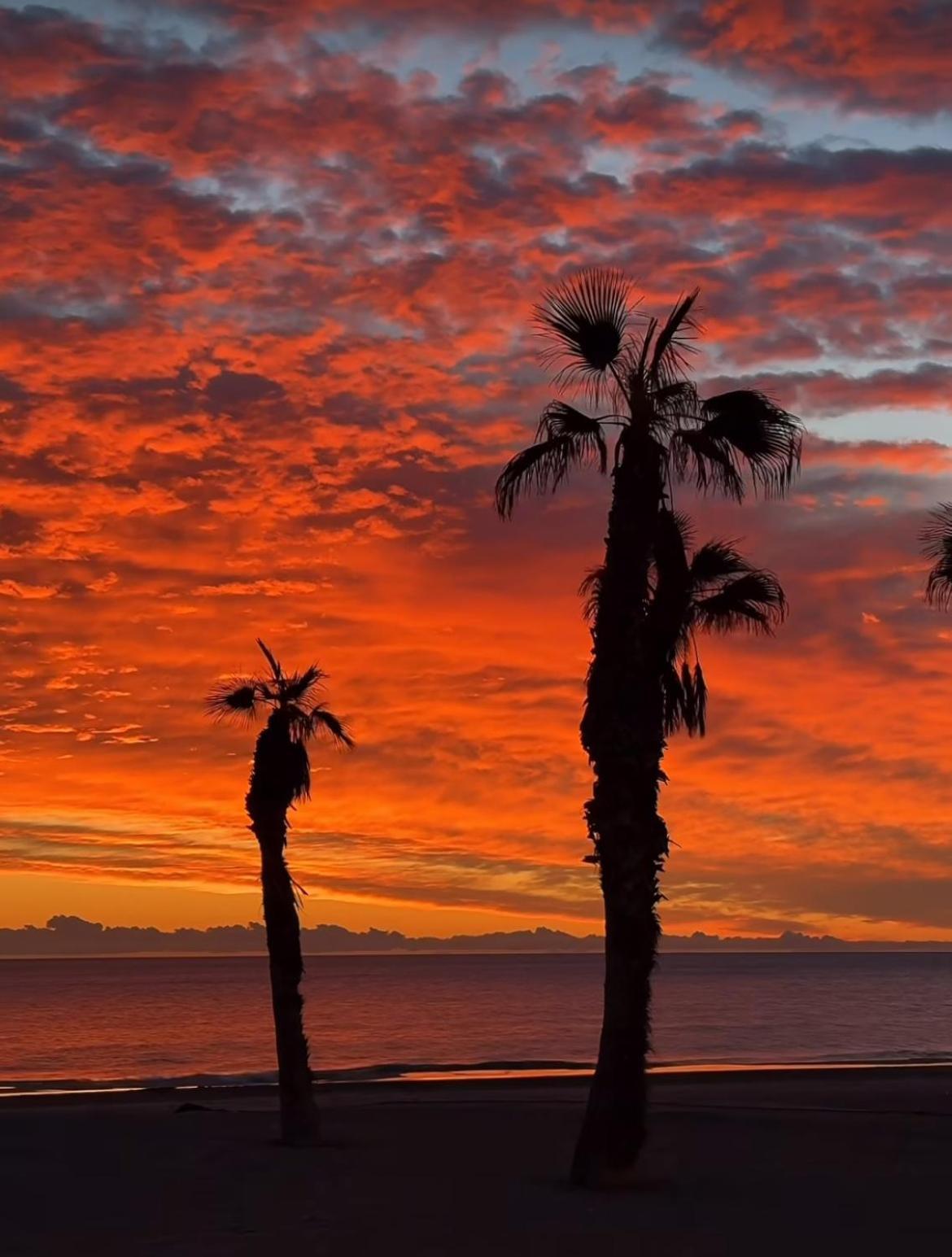 Stunning Sea View Apartman Alicante Kültér fotó