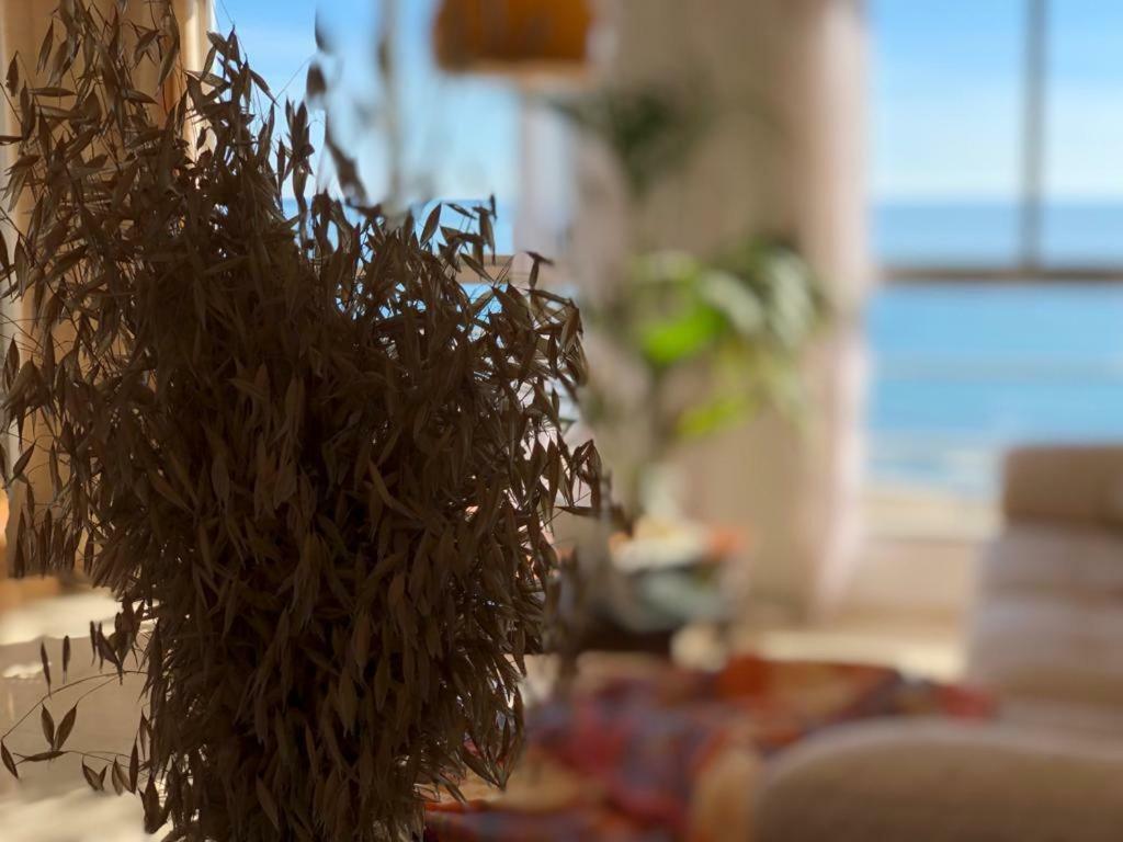 Stunning Sea View Apartman Alicante Kültér fotó